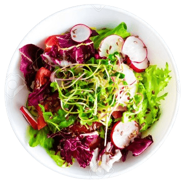 GARDEN FRESH SALAD